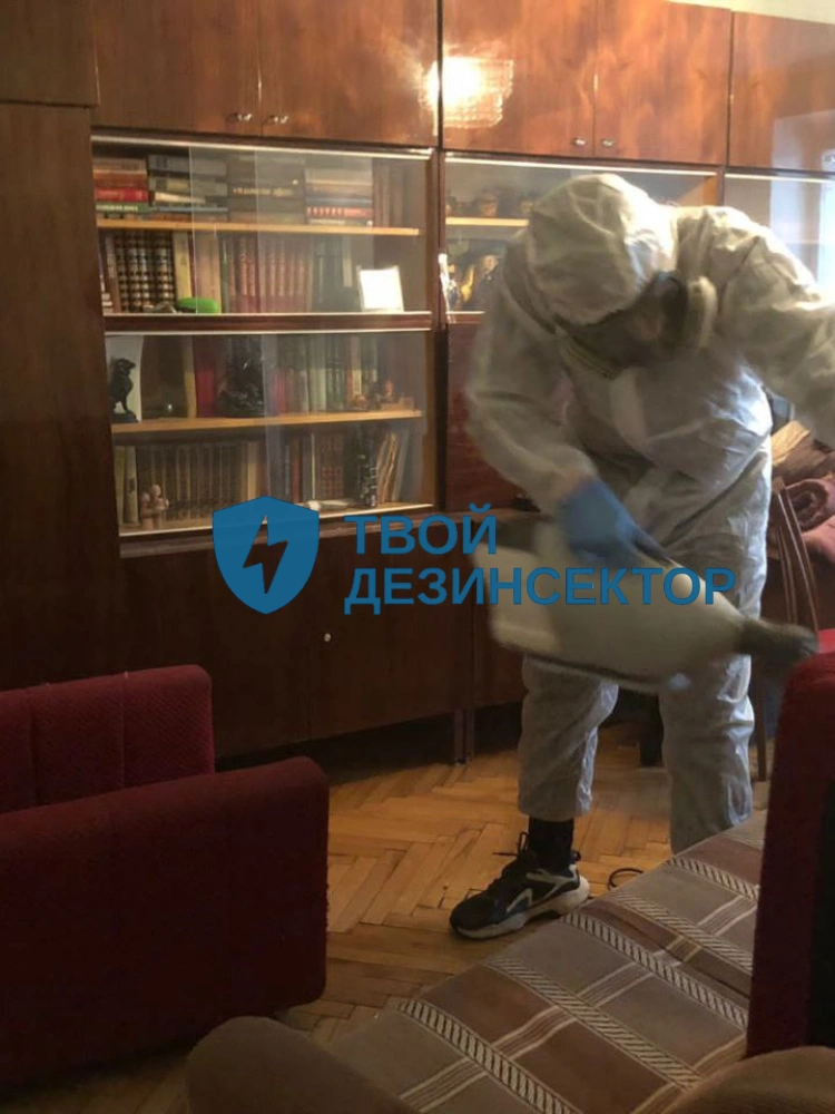Дезинфекция в Щелково